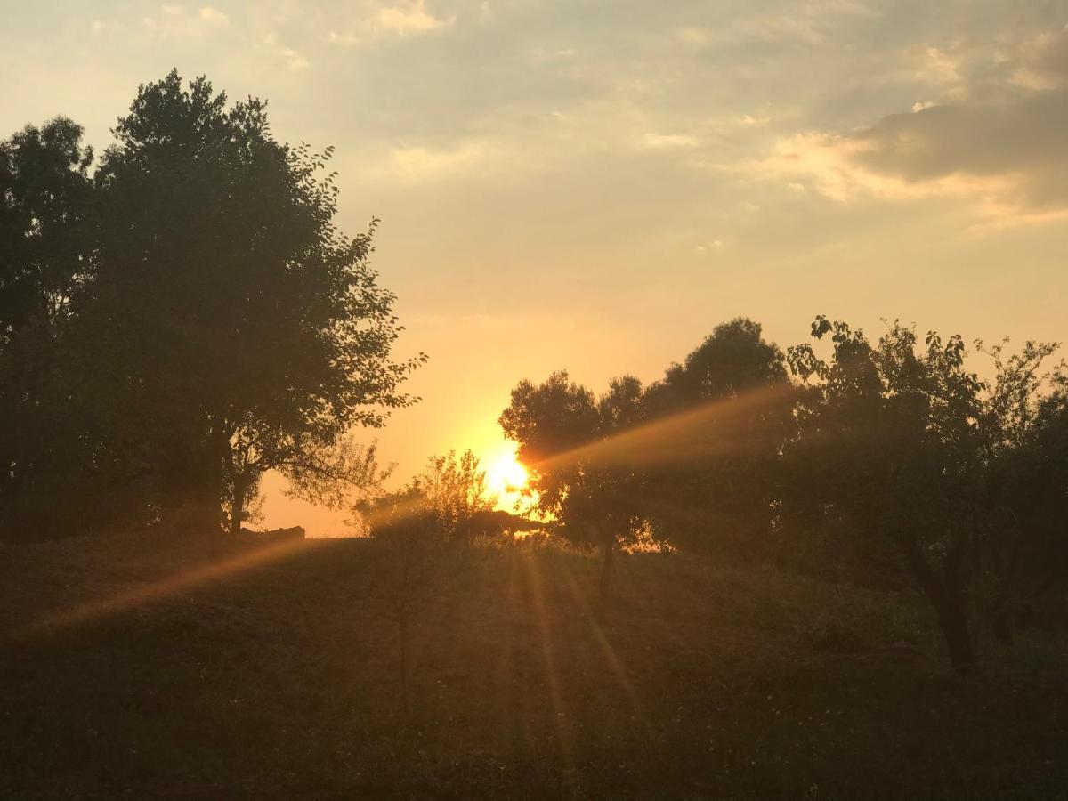 La Villetta Dei Sogni Nel Parco Rom Exterior foto